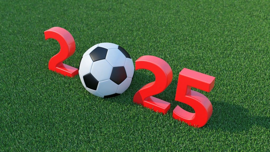 Vœux 2025